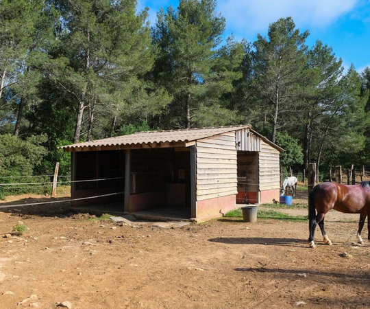 EDP Jump - Centre Équestre à Signes | Var, Toulon, La Ciotat