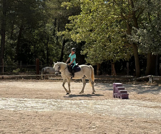 EDP Jump - Centre Équestre à Signes | Var, Toulon, La Ciotat