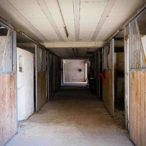 EDP Jump - Centre Équestre à Signes | Var, Toulon, La Ciotat