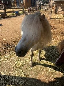 EDP Jump - Centre Équestre à Signes | Var, Toulon, La Ciotat