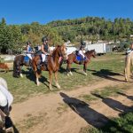 EDP Jump - Centre Équestre à Signes | Var, Toulon, La Ciotat