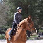 EDP Jump - Centre Équestre à Signes | Var, Toulon, La Ciotat
