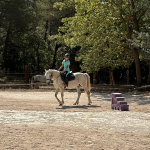EDP Jump - Centre Équestre à Signes | Var, Toulon, La Ciotat