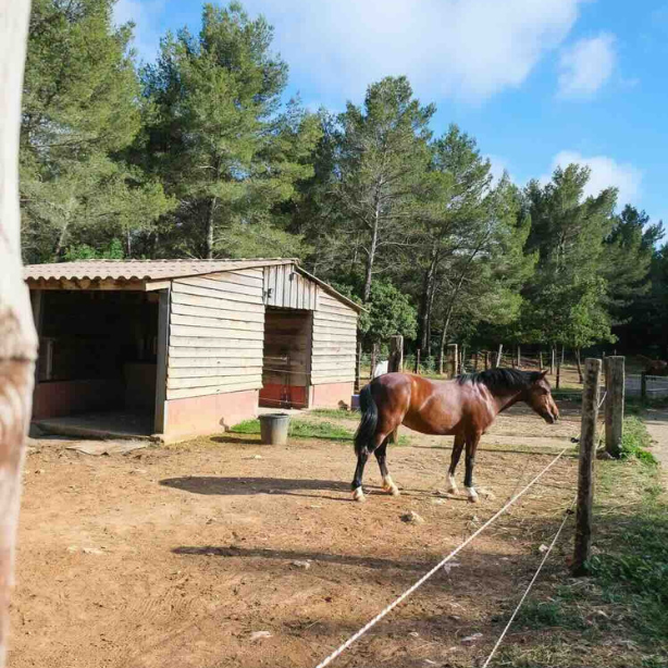 EDP Jump - Centre Équestre à Signes | Var, Toulon, La Ciotat