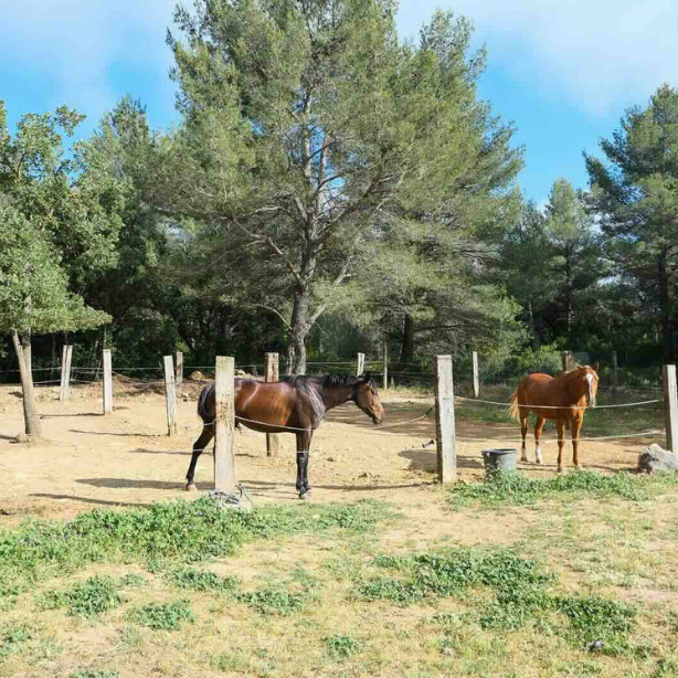 EDP Jump - Centre Équestre à Signes | Var, Toulon, La Ciotat