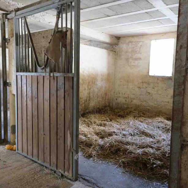 EDP Jump - Centre Équestre à Signes | Var, Toulon, La Ciotat