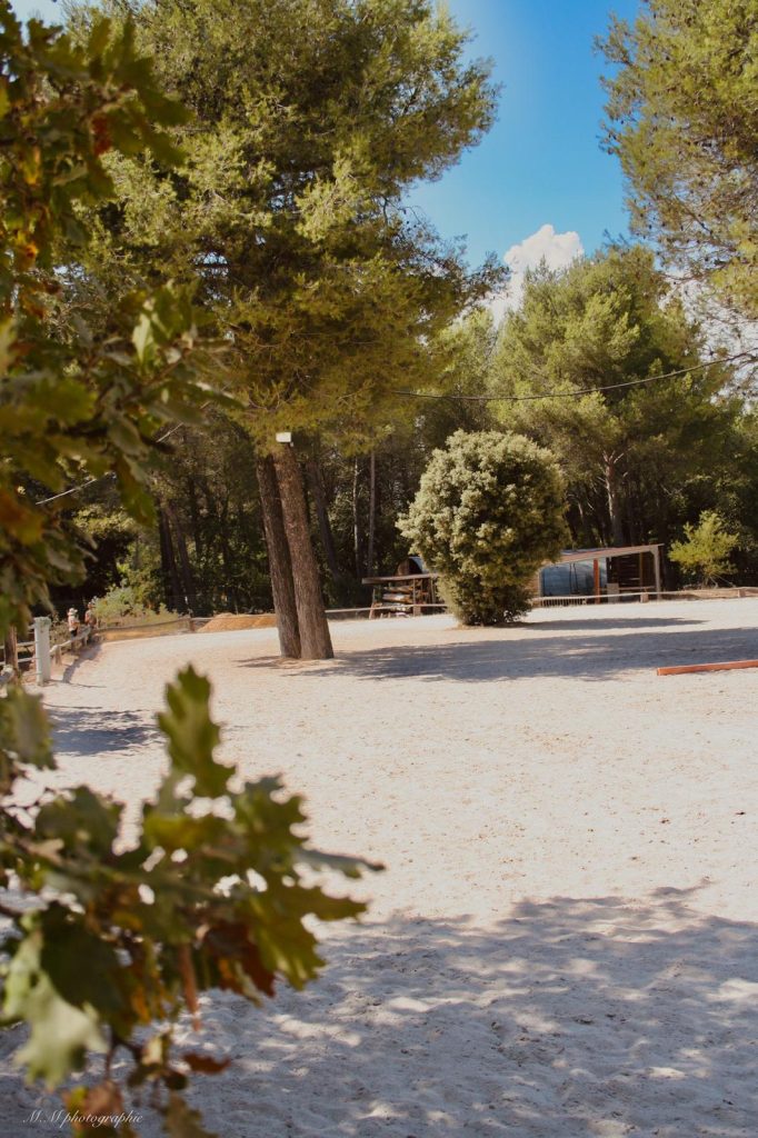 EDP Jump - Centre Équestre à Signes | Var, Toulon, La Ciotat