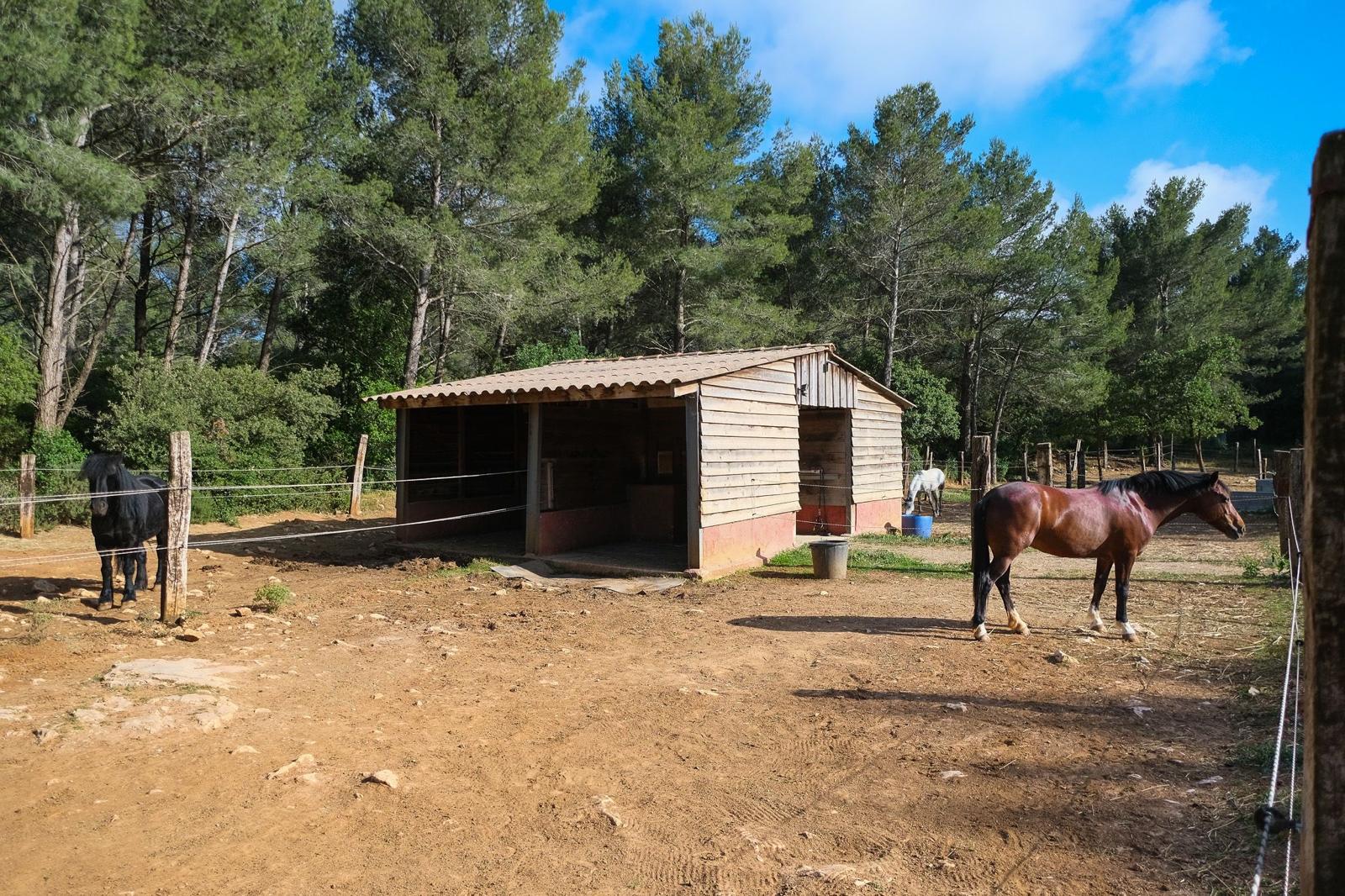 EDP Jump - Centre Équestre à Signes | Var, Toulon, La Ciotat
